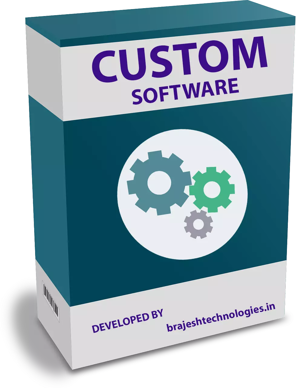custom software